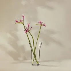 Casa Domani Moda Flared Vase 25cm Gift Boxed